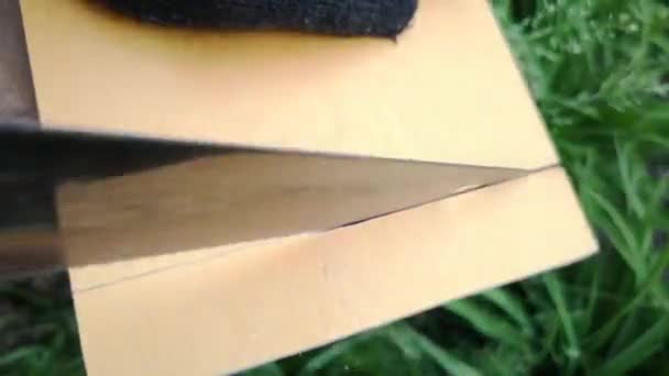 Man Saws Wooden Board Hand Saw — Stock Video