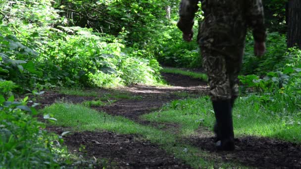 森林里的一个男人 沿着小路走着 前往针叶树群山的入口 — 图库视频影像