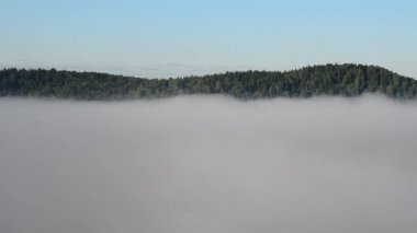 Yoğun kozalaklı ormanlarla kaplı kalın bir sis.