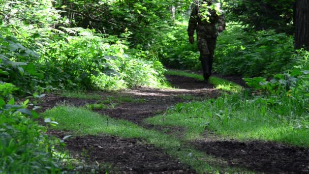 Uomo Nel Bosco Camminando Lungo Sentiero Accesso Alle Colline Montuose — Video Stock