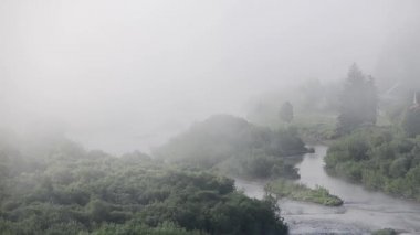 Yoğun kozalaklı ormanlarla kaplı kalın bir sis. Sabah sisli bir dağ nehri.