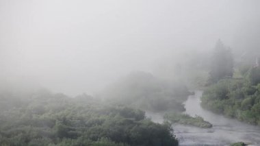 Yoğun kozalaklı ormanlarla kaplı kalın bir sis. Sabah sisli bir dağ nehri.