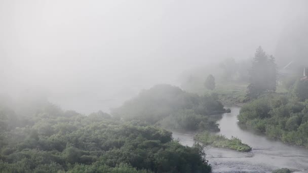Ceață Groasă Acoperită Pădure Conifere Groasă Râu Munte Ceață Dimineață — Videoclip de stoc