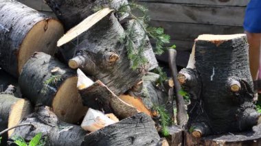 Sıcak bir yaz gününde. Elinde baltayla köknar kesen bir adam.