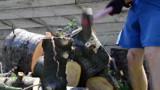 Cálido Día Verano Hombre Con Hacha Cortando Madera Abeto — Vídeo de stock