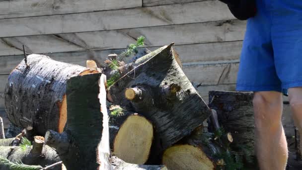 Cálido Día Verano Hombre Con Hacha Cortando Madera Abeto — Vídeo de stock