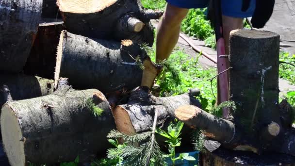 Cálido Día Verano Hombre Con Hacha Cortando Madera Abeto — Vídeo de stock