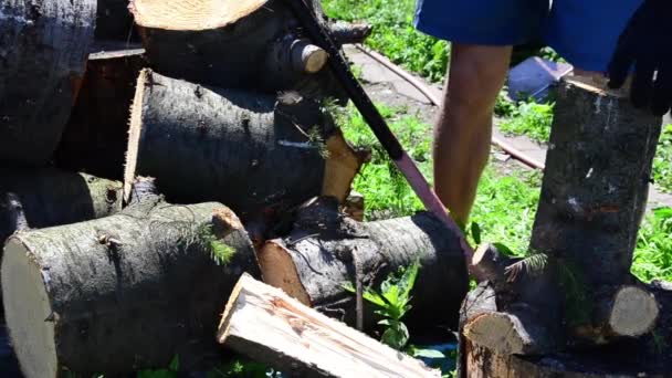 在一个温暖的夏日 一个拿斧头砍柴的人 — 图库视频影像