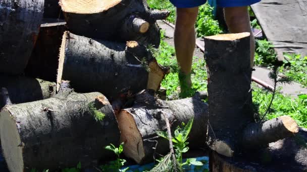 Cálido Día Verano Hombre Con Hacha Cortando Madera Abeto — Vídeo de stock