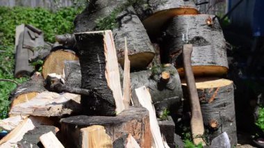 Sıcak bir yaz gününde. Elinde baltayla köknar kesen bir adam.