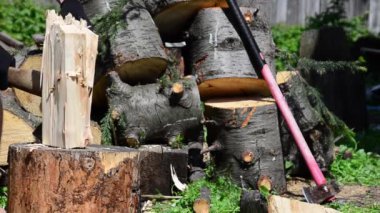 Sıcak bir yaz gününde. Elinde baltayla köknar kesen bir adam.