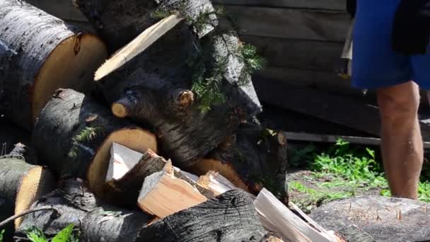 Cálido Día Verano Hombre Con Hacha Cortando Madera Abeto — Vídeo de stock