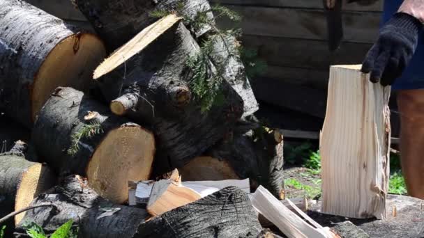 Cálido Día Verano Hombre Con Hacha Cortando Madera Abeto — Vídeo de stock