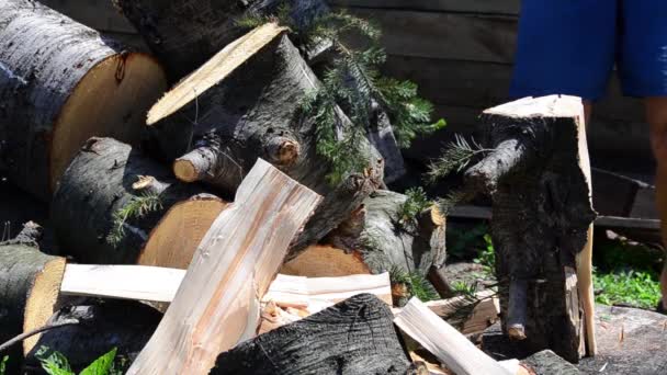 Teplý Letní Den Muž Sekerou Sekající Jedlové Dřevo — Stock video