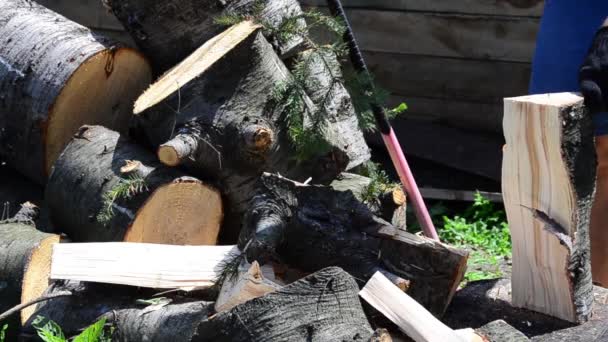 Cálido Día Verano Hombre Con Hacha Cortando Madera Abeto — Vídeo de stock