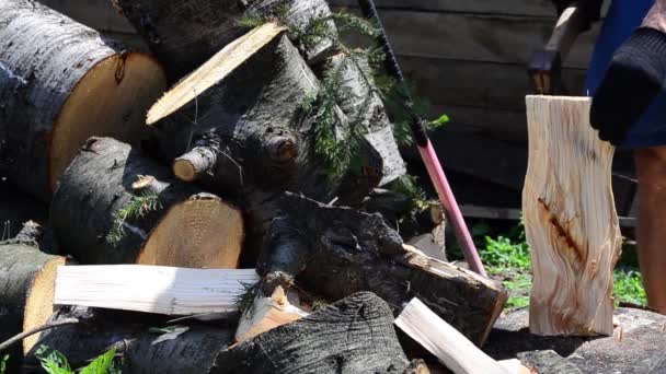 Cálido Día Verano Hombre Con Hacha Cortando Madera Abeto — Vídeo de stock