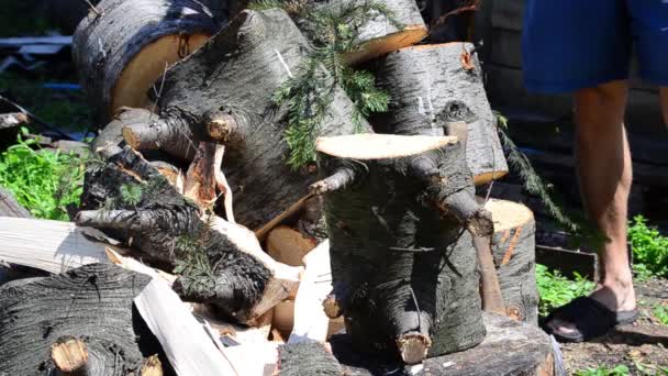 暖かい夏の日に 斧を持った男がモミの木を切り刻む — ストック動画
