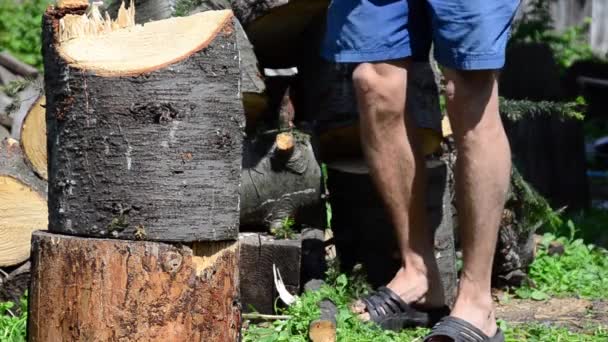 Ciepły Letni Dzień Człowiek Siekierą Rąbiącą Drewno Jodłowe — Wideo stockowe