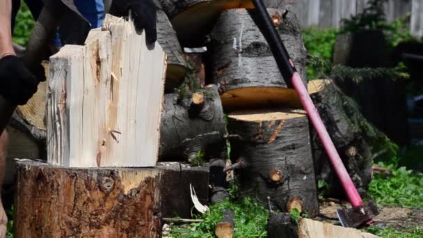 Cálido Día Verano Hombre Con Hacha Cortando Madera Abeto — Vídeo de stock