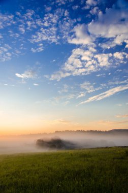 Sabahın köründe, şafakta. Yeşil bir orman üzerinde yoğun mistik sis. Sulu ot.