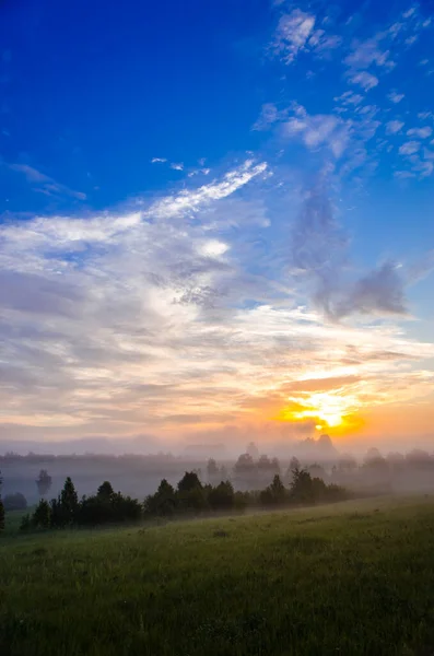 Рано Утром Рассвете Толстый Мистический Туман Над Зеленым Лесом Сочная — стоковое фото