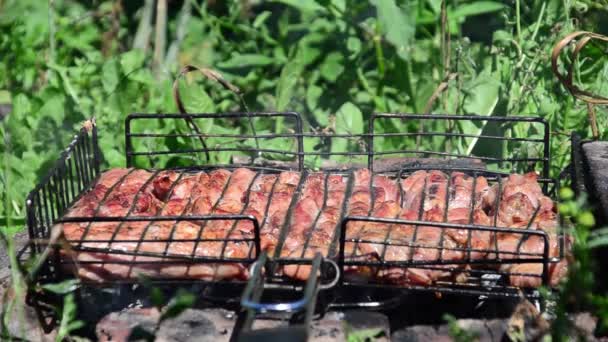 Barbecue Est Préparé Sur Gril Fumée Feu — Video