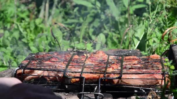 Barbecue Est Préparé Sur Gril Fumée Feu — Video