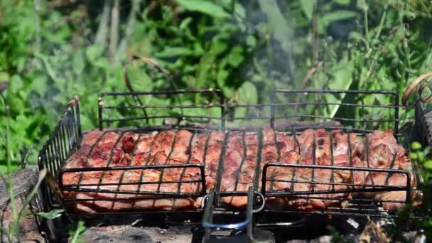 Barbecue Est Préparé Sur Gril Fumée Feu — Video