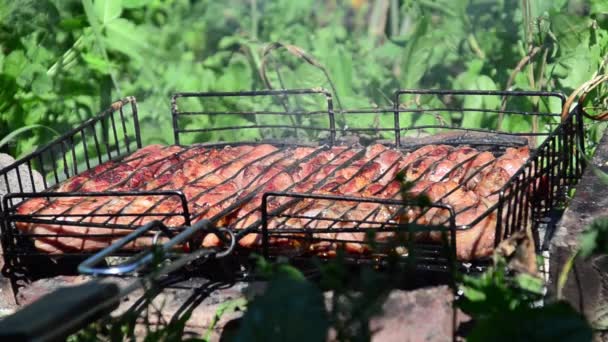 Barbecue Est Préparé Sur Gril Fumée Feu — Video