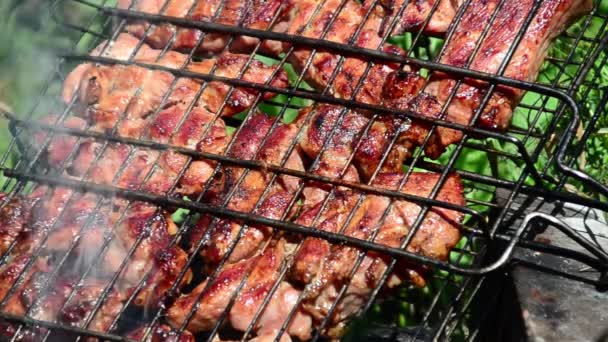 Barbecue Est Préparé Sur Gril Fumée Feu — Video