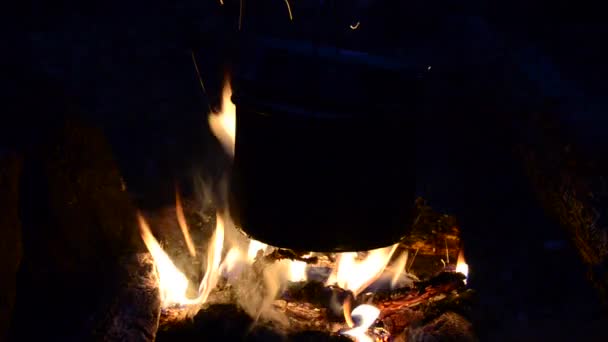 Tűz Kampányban Egy Csésze Tea Tűz Mellett Edény Lángokban Áll — Stock videók