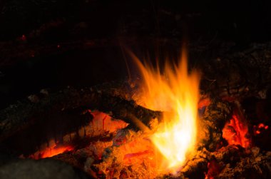 Közler parke bir ateşte yanar..