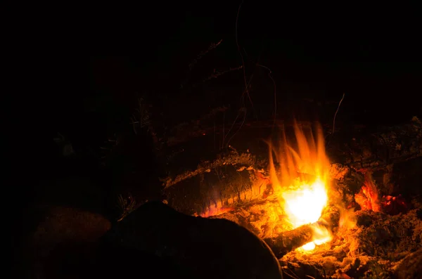 木の炎の中で焼かれ — ストック写真