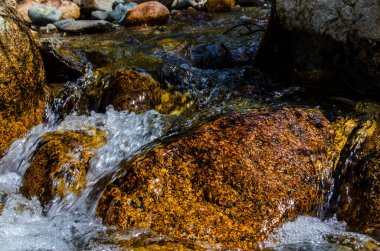 Yazın kayalık dağ nehir suyu ipeği. dağ nehri.