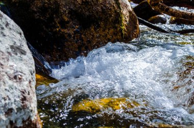 Yazın kayalık dağ nehir suyu ipeği. dağ nehri.