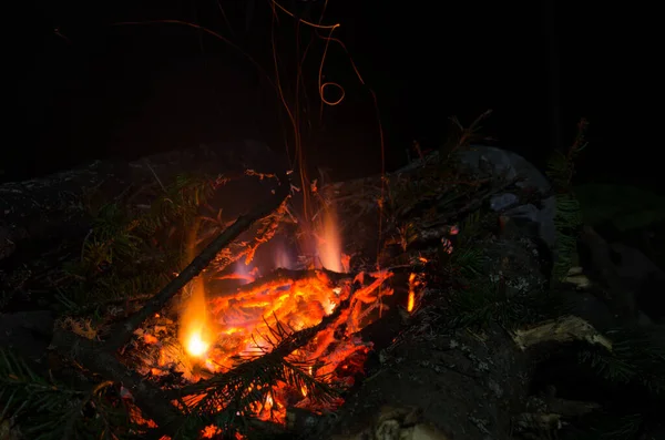 篝火在硬木火中燃烧 — 图库照片