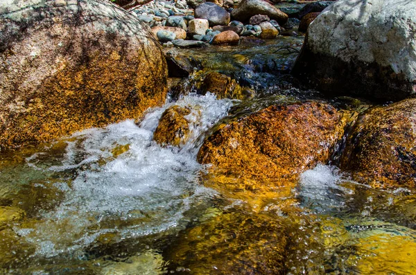 Sommer Felsigen Gebirgsfluss Wasserseide Bergfluss — Stockfoto