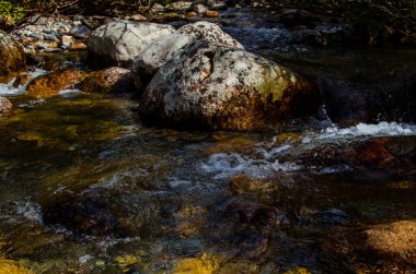 Yazın kayalık dağ nehir suyu ipeği. dağ nehri.