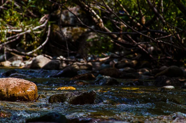 Sommer Felsigen Gebirgsfluss Wasserseide Bergfluss — Stockfoto