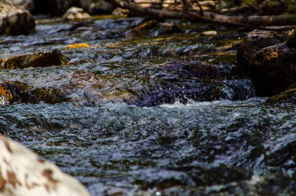 Sommer Felsigen Gebirgsfluss Wasserseide Bergfluss — Stockfoto