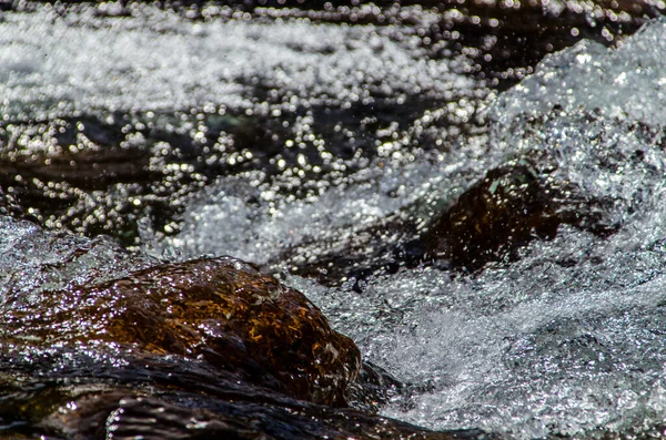 Zomer Rotsachtige Berg Rivier Water Zijde Bergrivier — Stockfoto