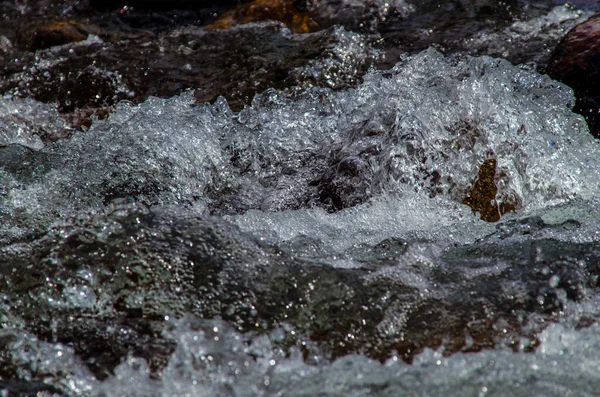 Verano Rocosa Montaña Río Agua Seda Río Montaña — Foto de Stock