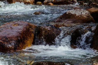 Yazın kayalık dağ nehir suyu ipeği. dağ nehri.