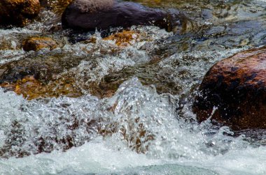 Yazın kayalık dağ nehir suyu ipeği. dağ nehri.