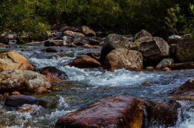 Yazın kayalık dağ nehir suyu ipeği. dağ nehri.