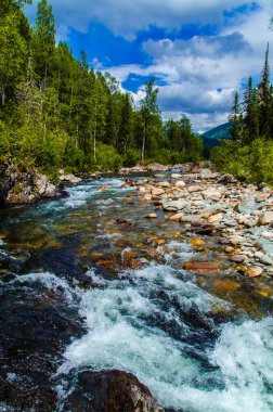 Yazın kayalık dağ nehir suyu ipeği. dağ nehri.