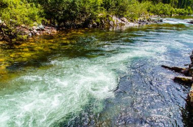 Yazın kayalık dağ nehir suyu ipeği. dağ nehri.