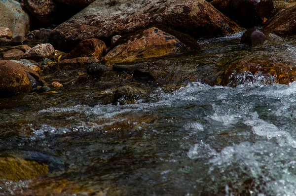 Zomer Rotsachtige Berg Rivier Water Zijde Bergrivier — Stockfoto