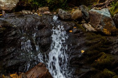 Yazın kayalık dağ nehir suyu ipeği. dağ nehri.