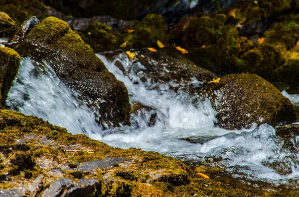 Sommer Felsigen Gebirgsfluss Wasserseide Bergfluss — Stockfoto